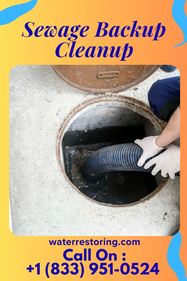 Sewage Backup Cleanup in New Albany, PA