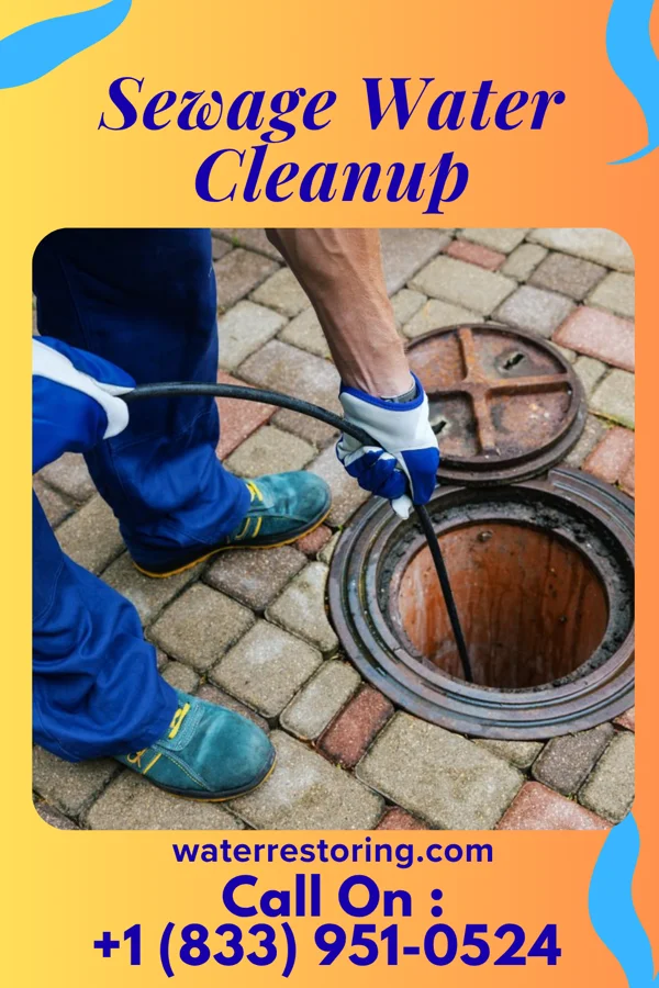 Sewage Water Cleanup in New Albany, PA