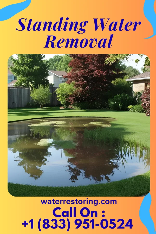 Standing Water Removal in New Albany, PA